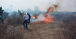 EN HUICHAPAN SE HAN REGISTRADO 20 INCENDIOS, BUSCAN A IDENTIFICAR A RESPONSABLES