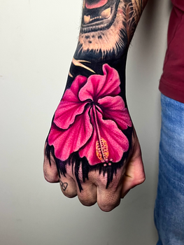 Pink handstopper, handbanger
