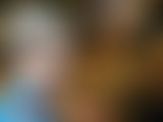 NIEUWE SINGLE PETRA VAN ZUNDERT