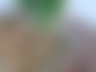 Ultimate BBQ Coleslaw Recipe