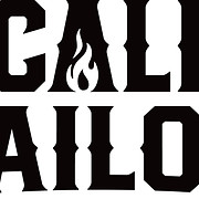 scaleandtailor logo