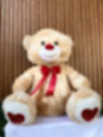 Oso de Peluche 50 cm 