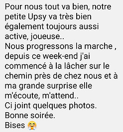 avis chiot