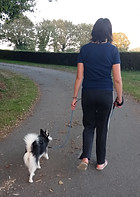 marche en laisse