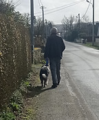 marche en laisse
