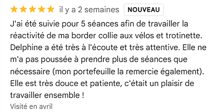 AVIS MARIE.png
