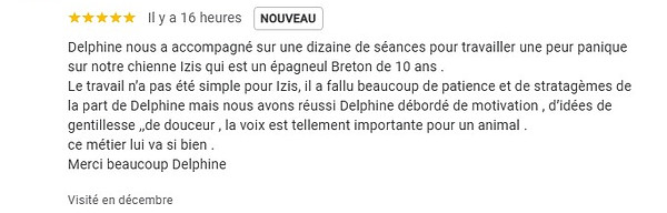 Avis client