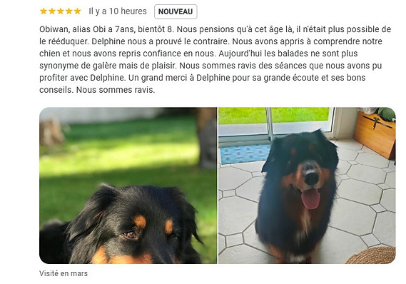 avis client