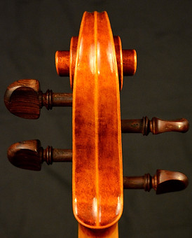 Lorenzo Frignani viola