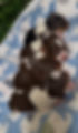 IMG_6584.jpeg