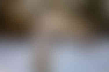 Brothers playing in the snow