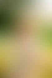 mom launching new line branding