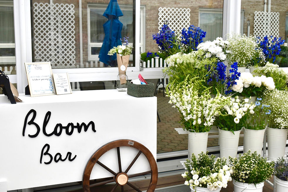 Bloom Bar