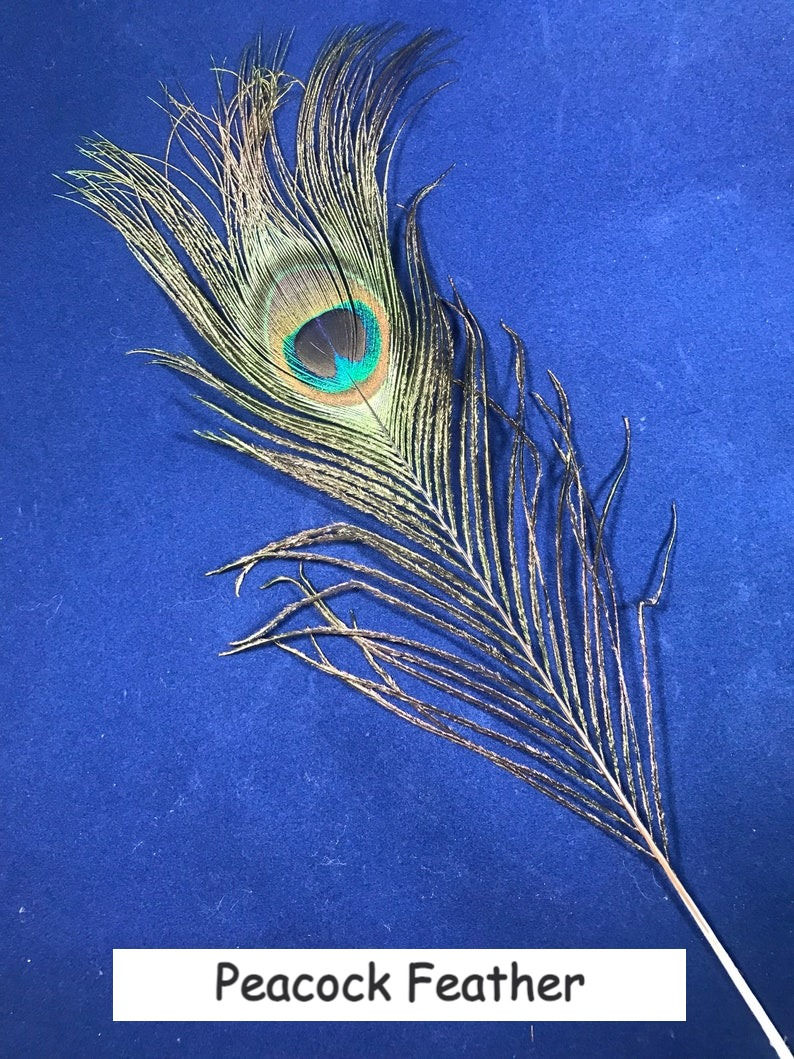 Thumbnail: Sage Bundle Smudge Kits (Assorted)