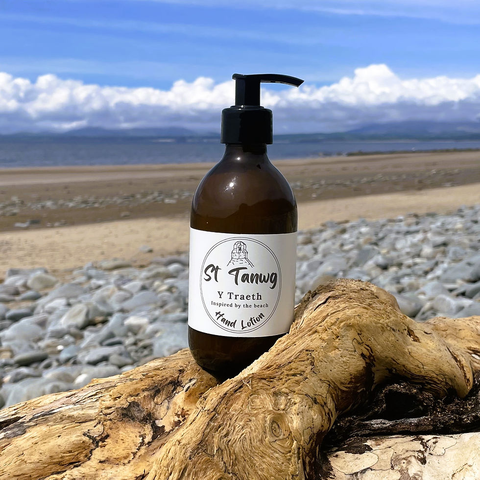 Thumbnail: Hand Lotion - Y Traeth