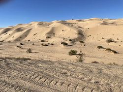 PK Dunes2