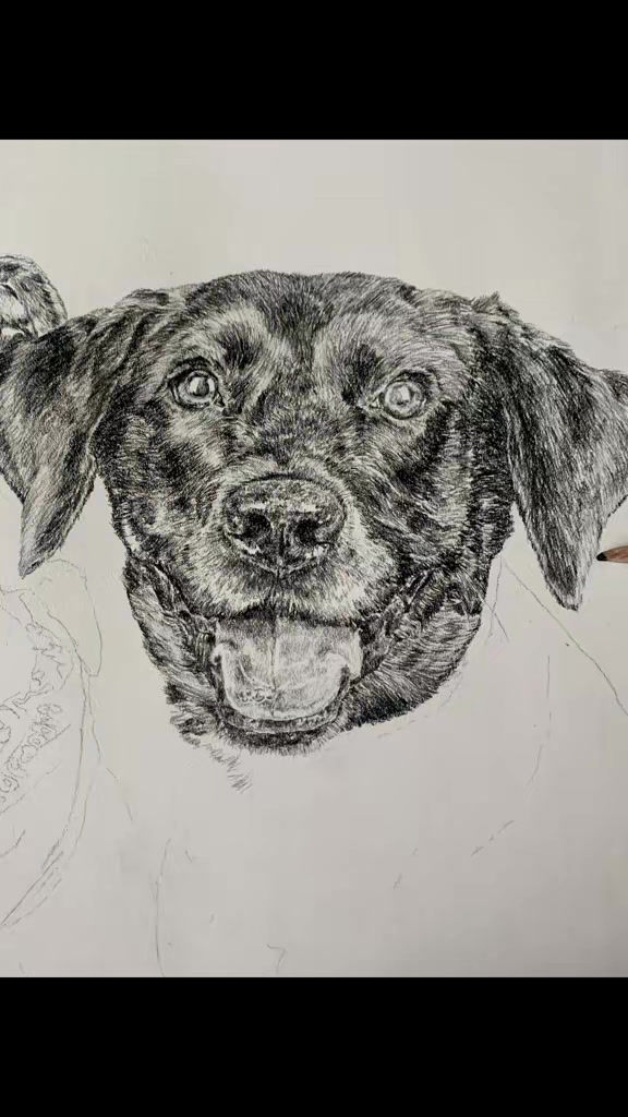 Thumbnail: Portrait Drawing