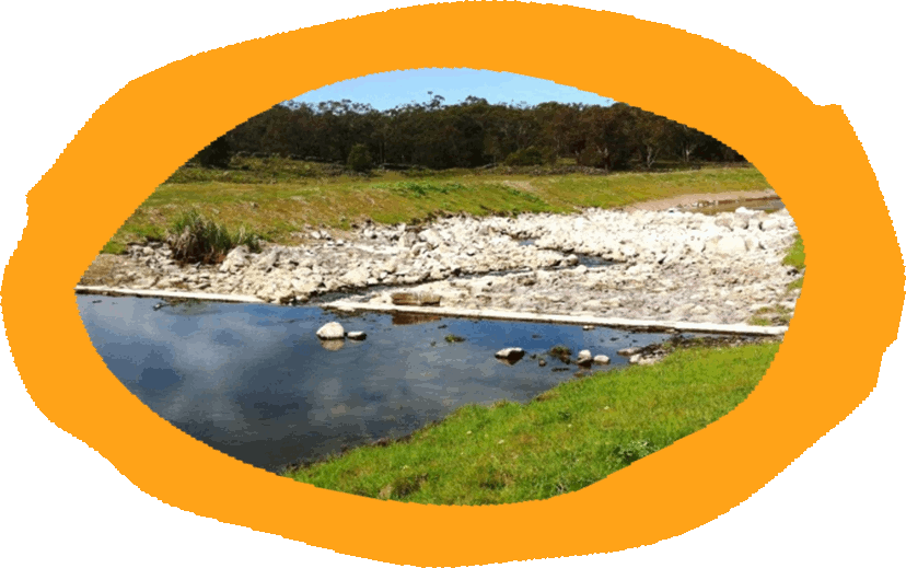 Weirs