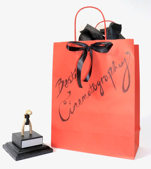 Best Cinematography with Bag