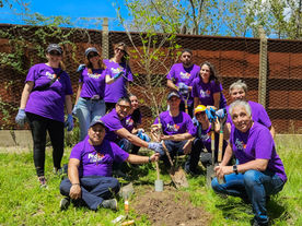 Together with FedEx we planted 43 new native trees in the Munro neighborhood, in Buenos Aires.