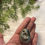 Thumbnail: Pyrite Egg