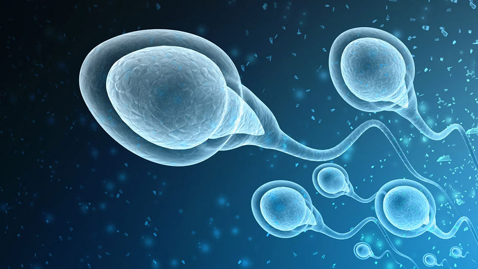 choosing a sperm donor, zoom in of sperm swimming in dark blue background