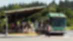 Photo of people boarding LTD buses at Springfield Station.