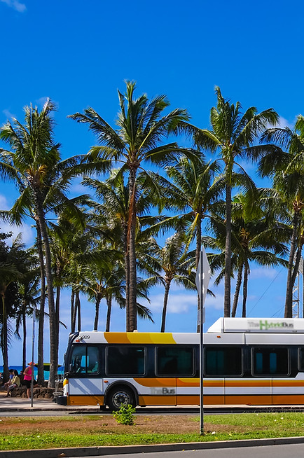 Image of a bus in Waikīkī.
