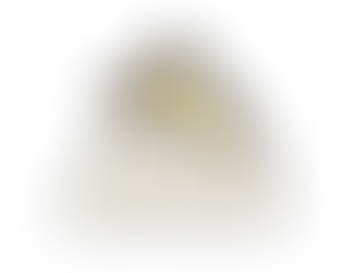 INTRODUCING ALTI CONSTRUCTION