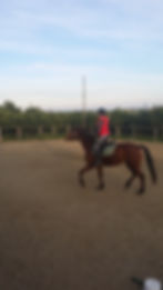 Equitazione