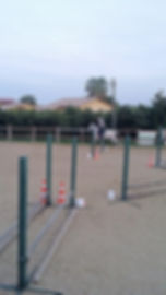 Scuola di equitazione