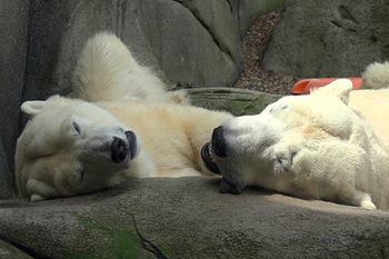 tierpark