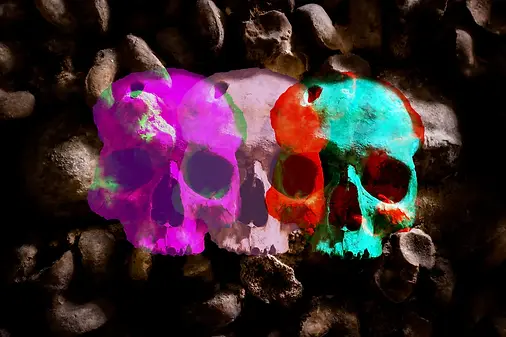 transdeadremains-1.webp