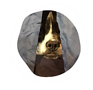 0BDCCD03-673E-40AB-86BD-415DA7907163.png