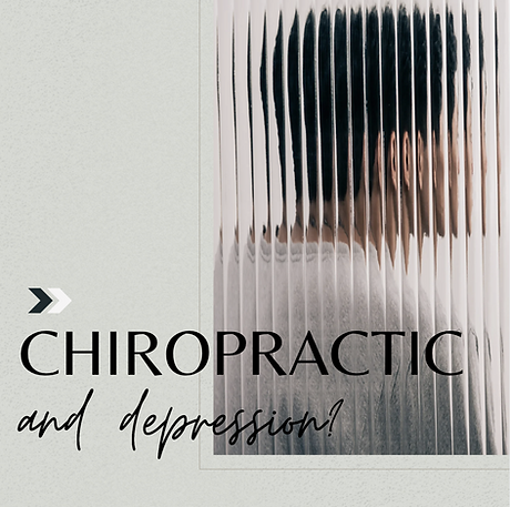 chiropractic social media marketing