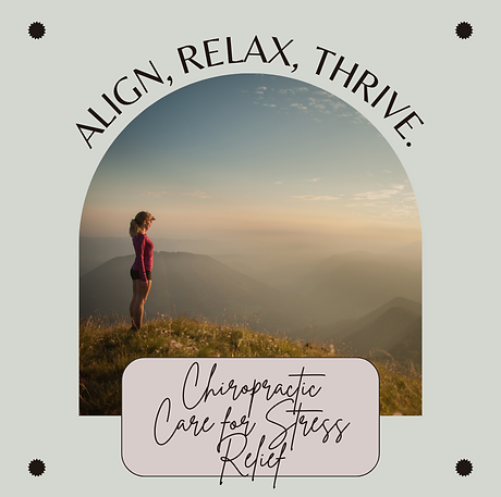 chiropractic social media marketing
