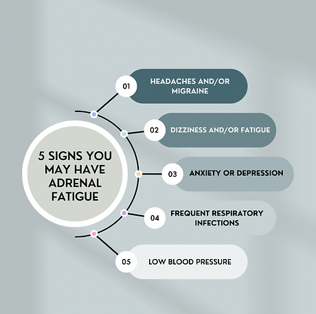 chiropractic social media marketing