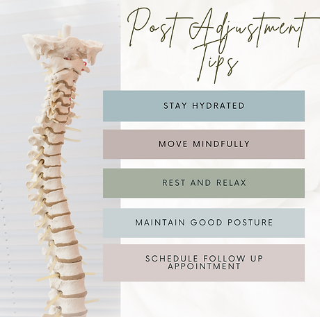 chiropractic social media marketing