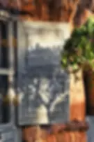 Shadow of a tree cast on a rustic wooden shutter at Kabana Rooftop Marrakech, capturing the venue’s warm and natural ambiance