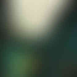 Untitled Artwork.jpeg