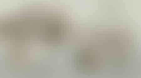 Untitled Artwork.jpeg