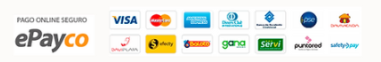 Pago 1.png