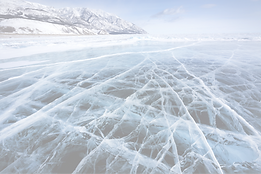 AdobeStock_303097902_edited.png