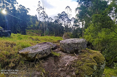 piedras ancestrales.jpeg