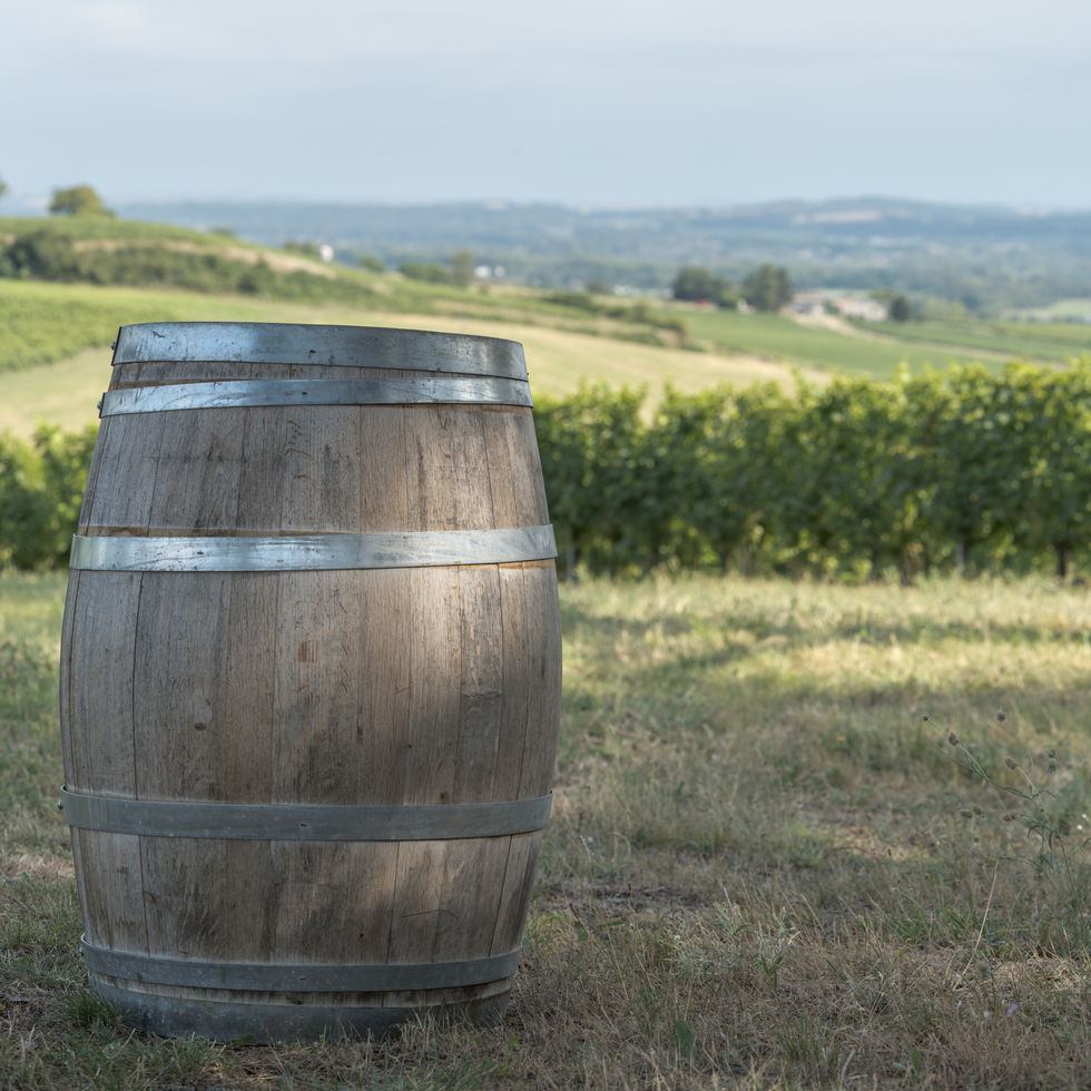 Tonneau dans le parc du domaine viticole.
