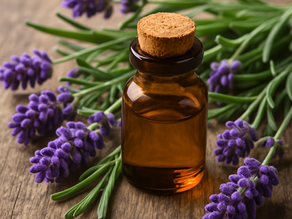 Comment utiliser l’huile essentielle de lavande pour dormir