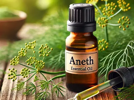 Huile Essentielle d'Aneth : Vertus, Bienfaits