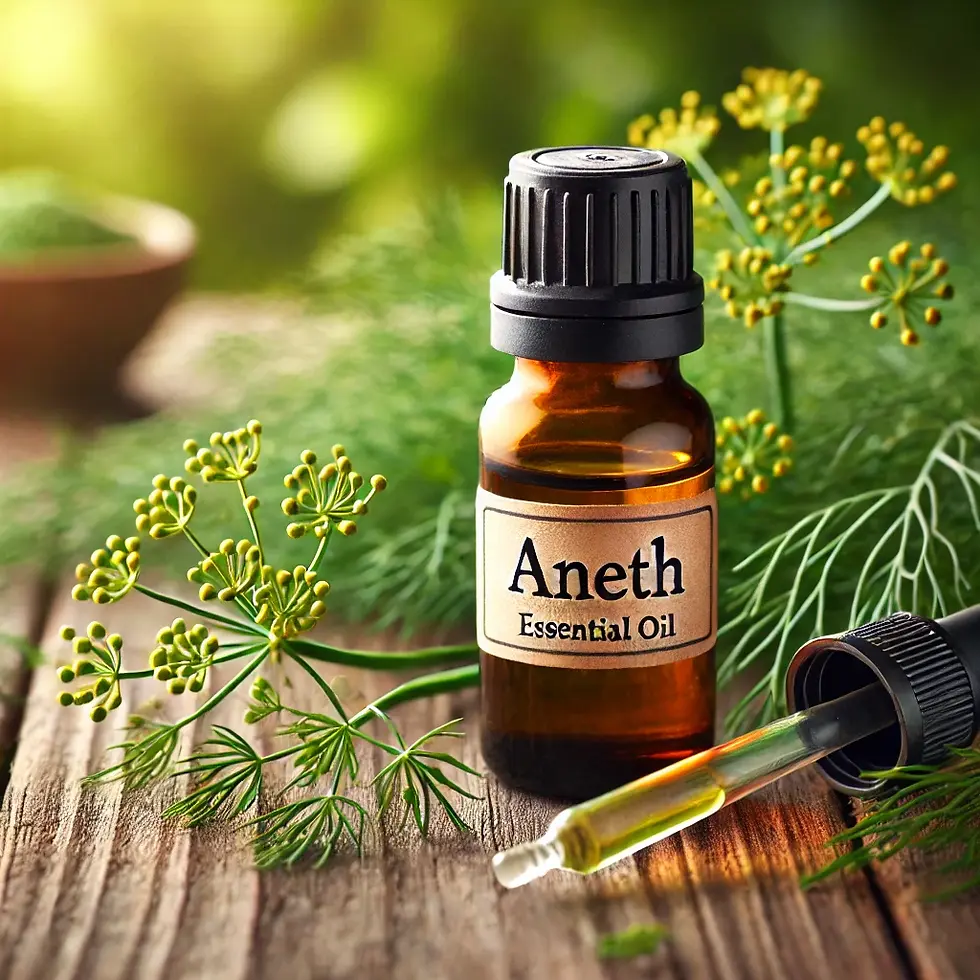 Huile Essentielle d'Aneth : Vertus, Bienfaits
