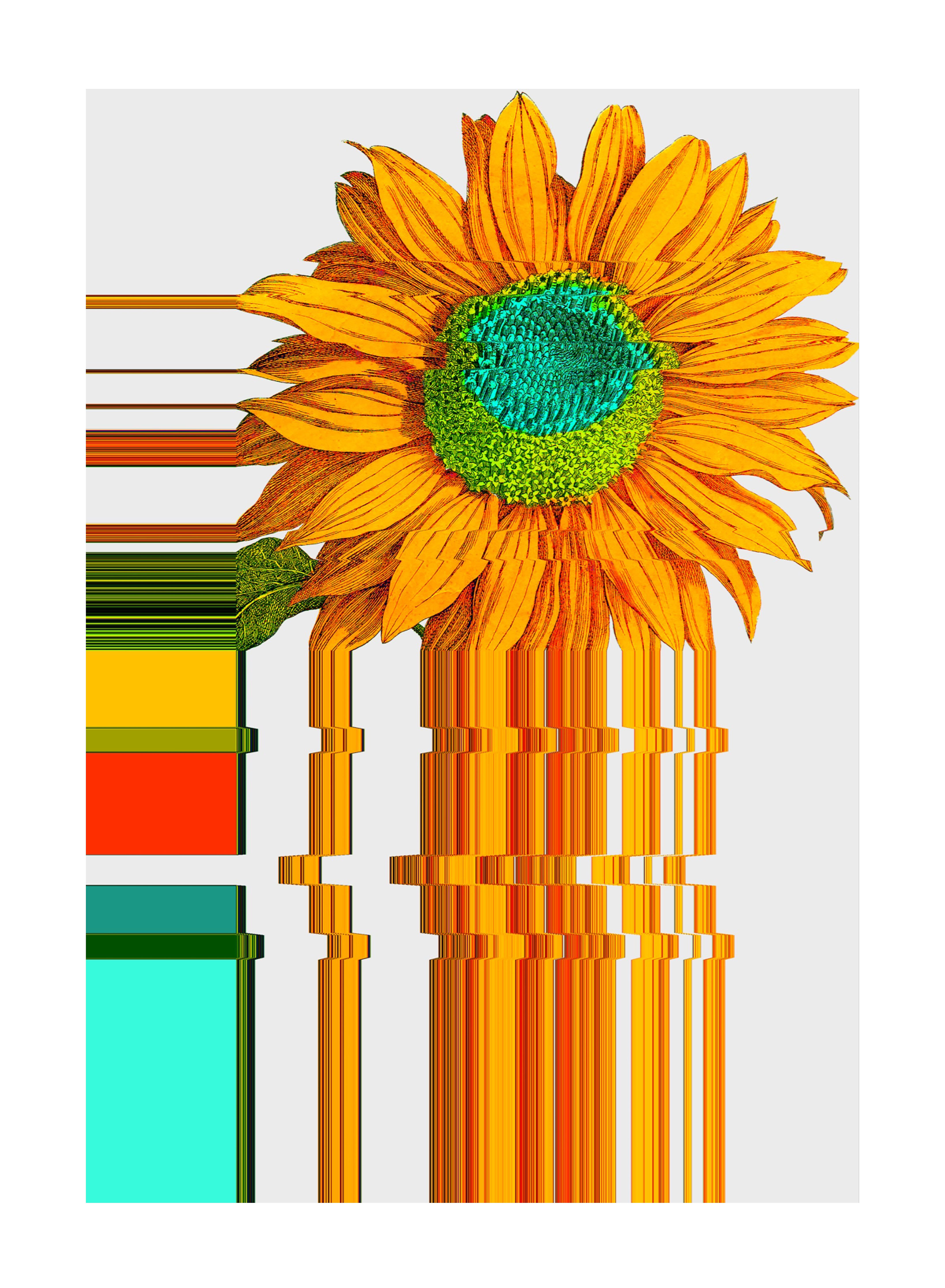 And the Sun Will Shine Again