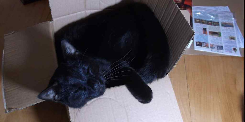 Dear Sulu Cat: